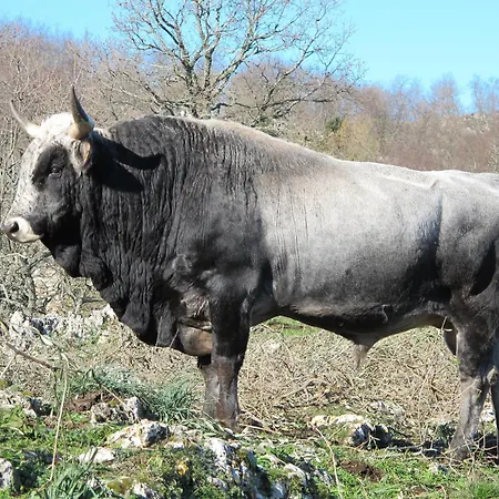 Séjour à la ferme Monte Sacro Mattinata