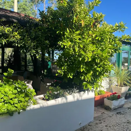 Farm stay Monte Sacro *