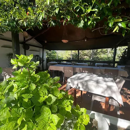 Monte Sacro Farm stay Mattinata